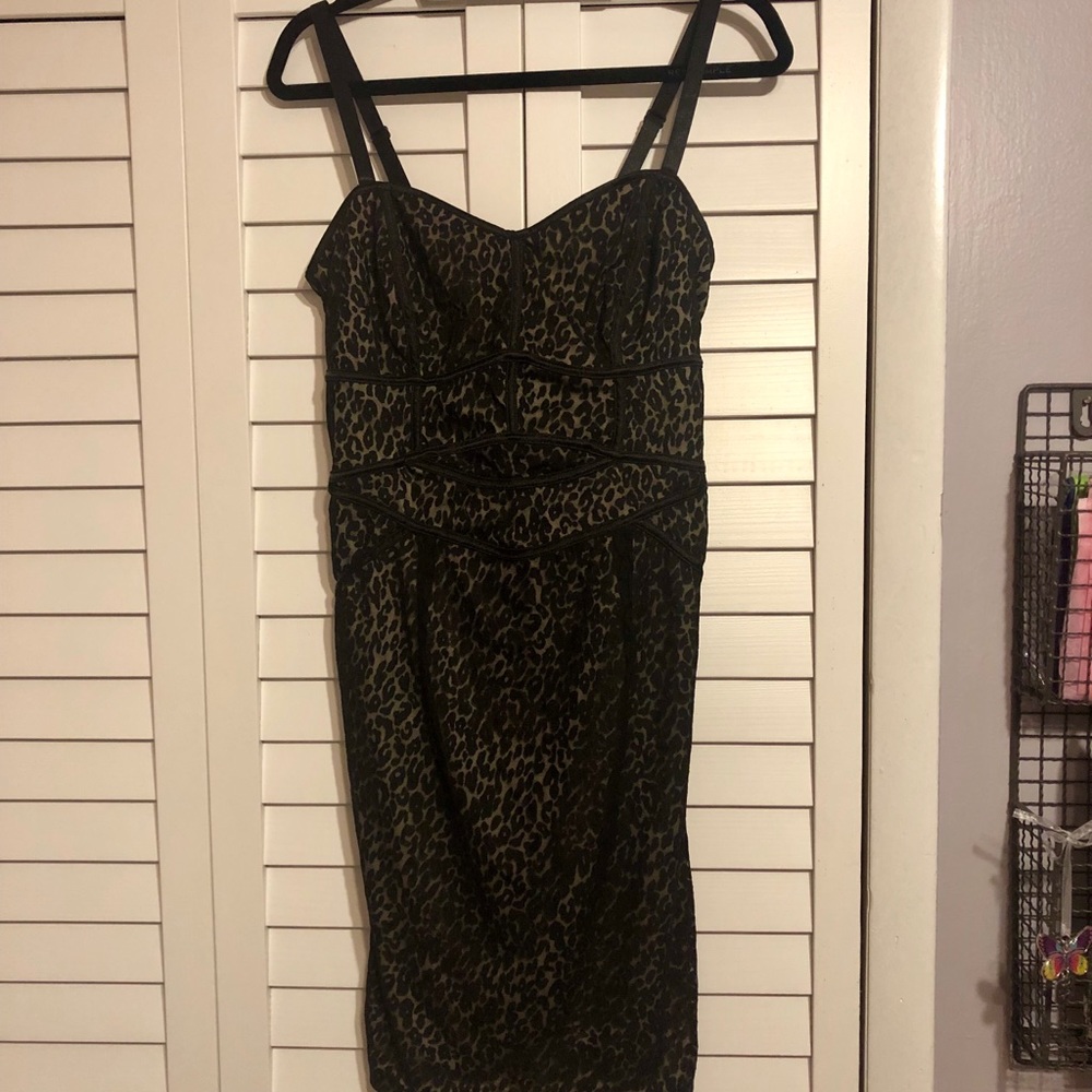 Lace covered Torrid Dress